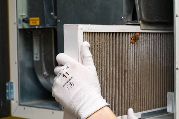 Best Air Vent Cleaning Services  in Walnut Grove, GA