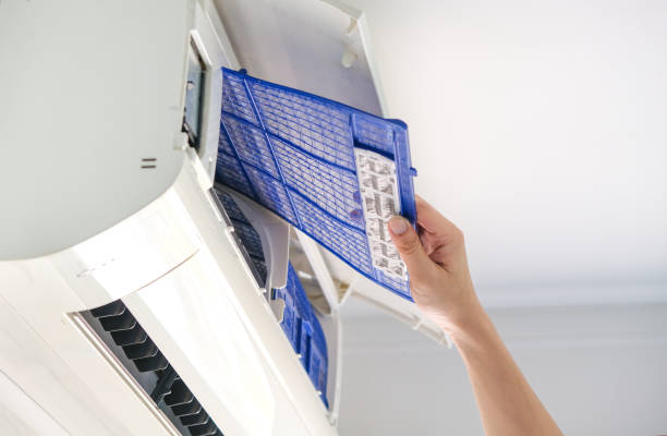 Best Professional Duct Cleaning Services  in Walnut Grove, GA