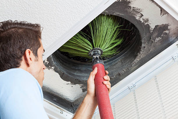 Best Affordable Duct Cleaning Services  in Walnut Grove, GA