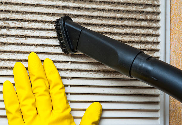 Best HVAC Duct Inspection Services  in Walnut Grove, GA